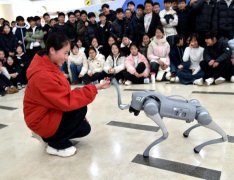 一场沉浸式的研学实践勾当